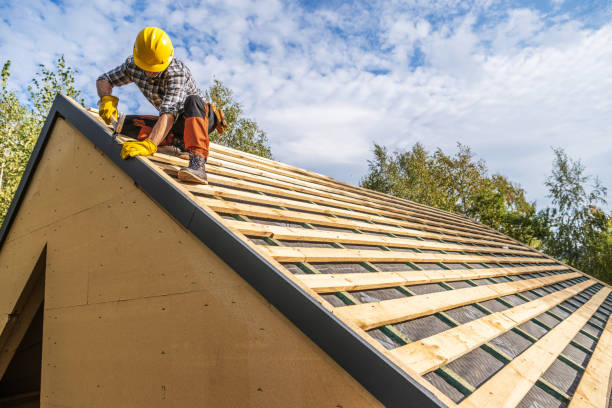 Best Metal Roofing Contractor  in Earlington, KY